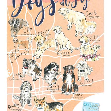 TSG-dogs-map-for-website